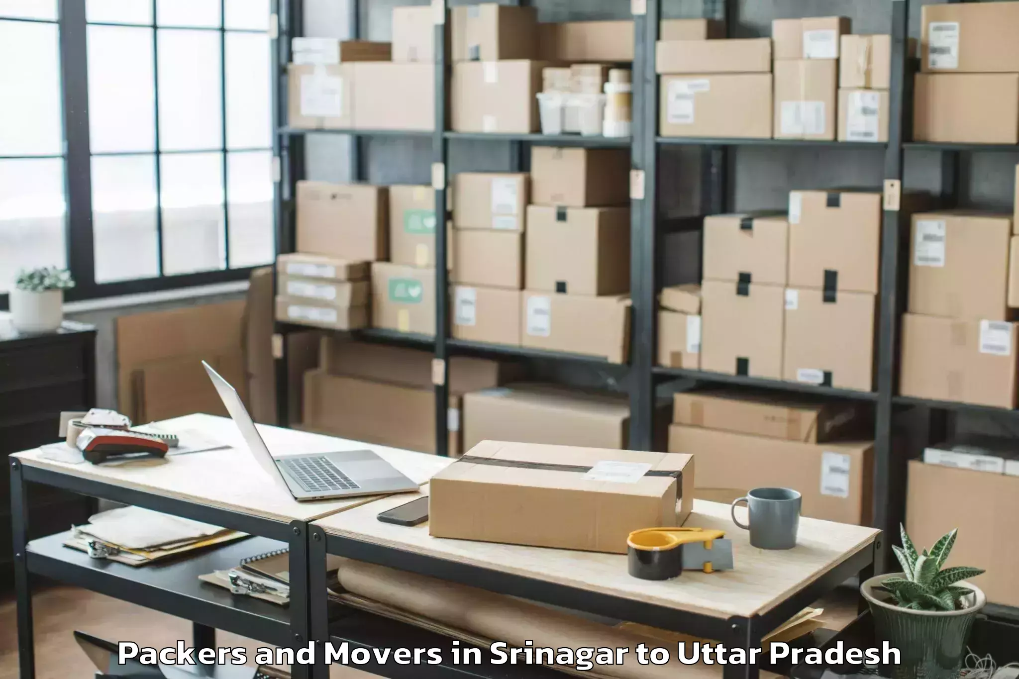 Professional Srinagar to Manjhanpur Packers And Movers